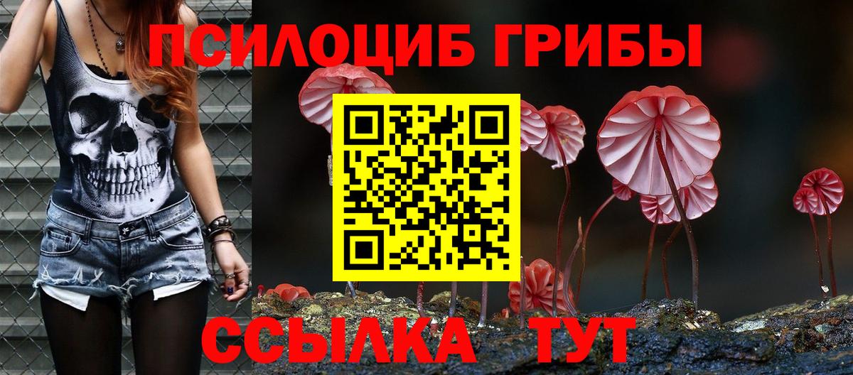 Галлюциногенные грибы MAGIC MUSHROOMS  Вход с VPN  Партизанск  Галлюциногенные грибы мицелий 